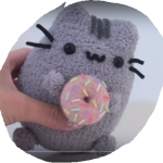 Pushees a donut z ponožky